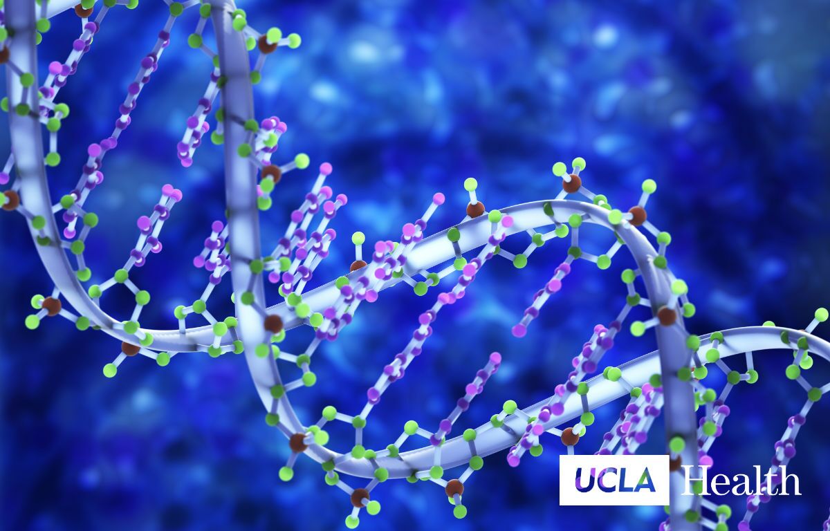 UCLA hero image 